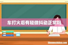 车打火后有轻微抖动正常吗