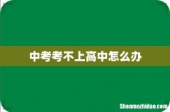 中考考不上高中怎么办