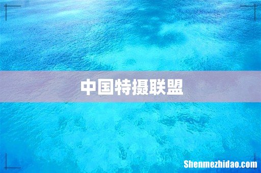 中国特摄联盟