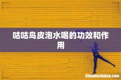 咕咕鸟皮泡水喝的功效和作用