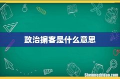 政治掮客是什么意思