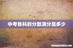 中考各科的分数满分是多少