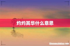 灼灼其华什么意思