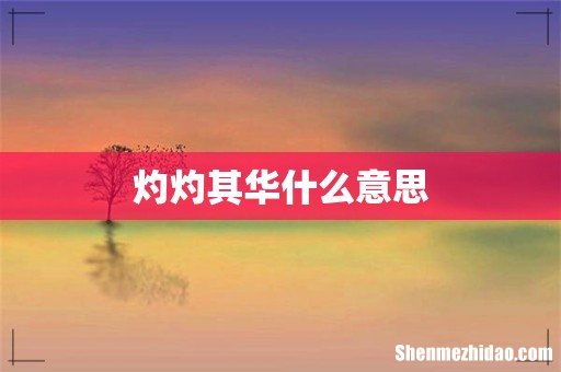 灼灼其华什么意思