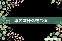 取名雷什么恺合适