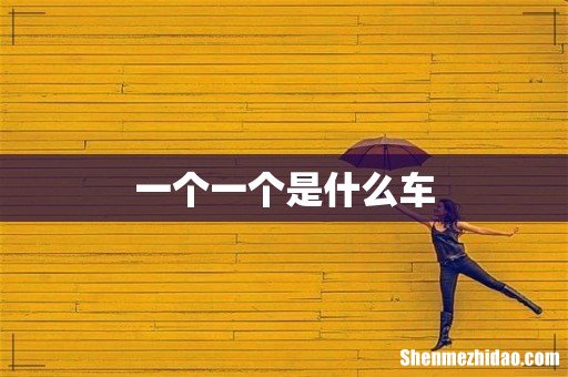 一个一个是什么车