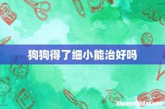 狗狗得了细小能治好吗