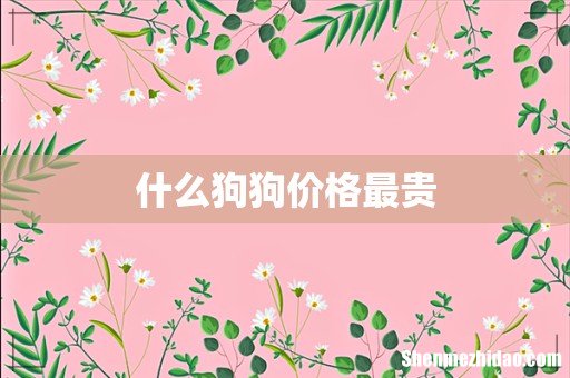 什么狗狗价格最贵