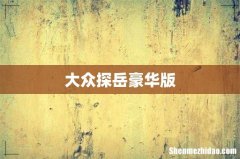 大众探岳豪华版