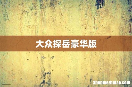 大众探岳豪华版