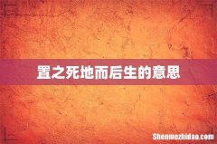 置之死地而后生的意思