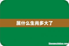 属什么生肖多大了