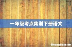 一年级考点集训下册语文