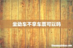 坐动车不拿车票可以吗