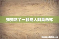 狗狗吃了一颗成人阿莫西林