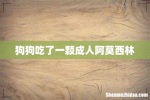 狗狗吃了一颗成人阿莫西林