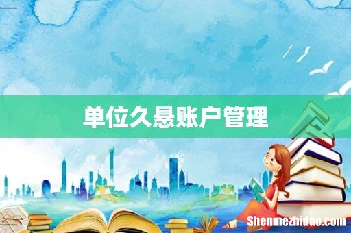 单位久悬账户管理