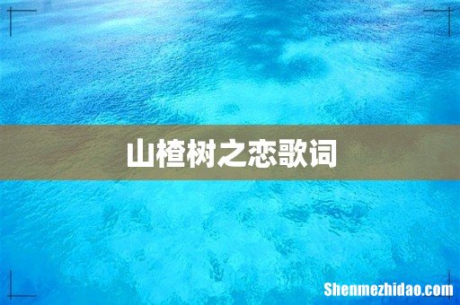 山楂树之恋歌词