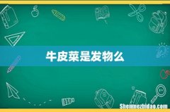 牛皮菜是发物么