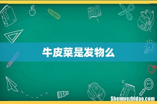 牛皮菜是发物么