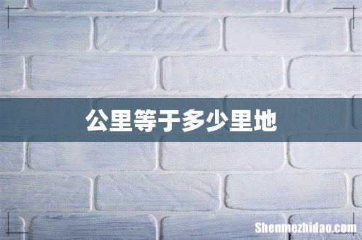 公里等于多少里地