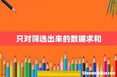 只对筛选出来的数据求和