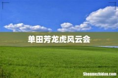 单田芳龙虎风云会