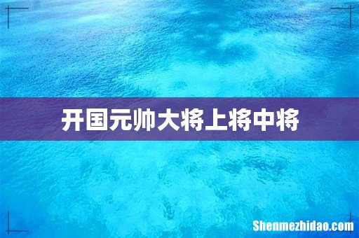 开国元帅大将上将中将