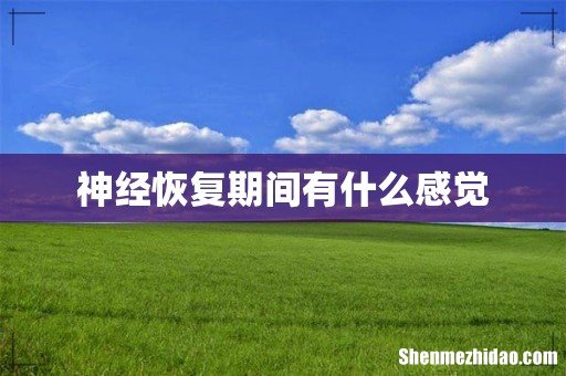 神经恢复期间有什么感觉