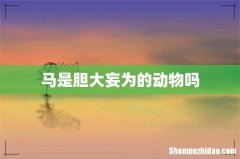 马是胆大妄为的动物吗