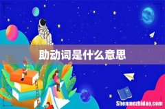 助动词是什么意思
