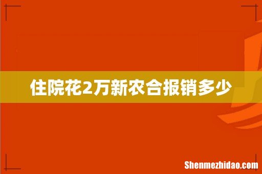 住院花2万新农合报销多少