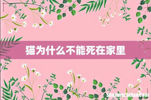 猫为什么不能死在家里