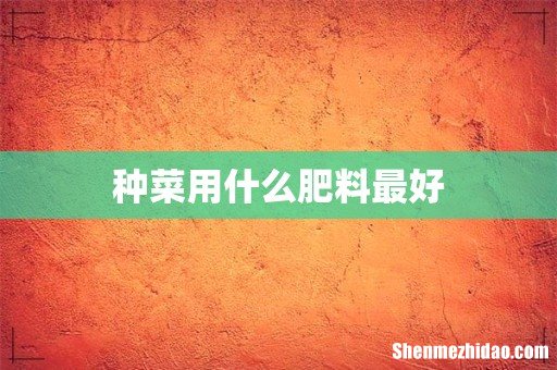 种菜用什么肥料最好