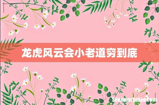 龙虎风云会小老道穷到底