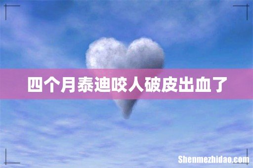 四个月泰迪咬人破皮出血了