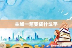 主加一笔变成什么字