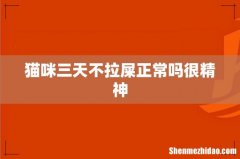 猫咪三天不拉屎正常吗很精神