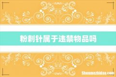 粉刺针属于违禁物品吗