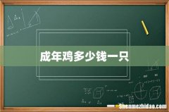 成年鸡多少钱一只