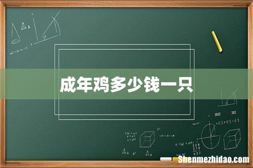 成年鸡多少钱一只