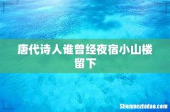 唐代诗人谁曾经夜宿小山楼留下