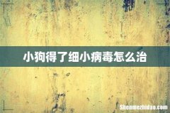 小狗得了细小病毒怎么治