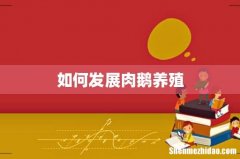 如何发展肉鹅养殖