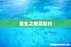 重生之宠溺契约