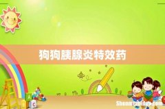 狗狗胰腺炎特效药