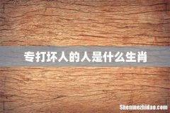 专打坏人的人是什么生肖