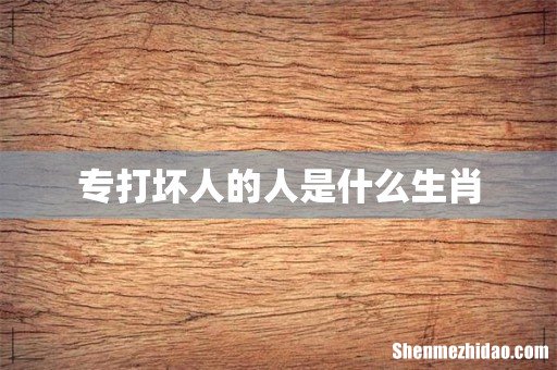 专打坏人的人是什么生肖