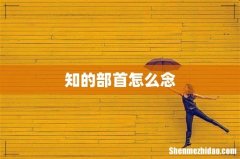 知的部首怎么念
