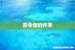 命令做的件事